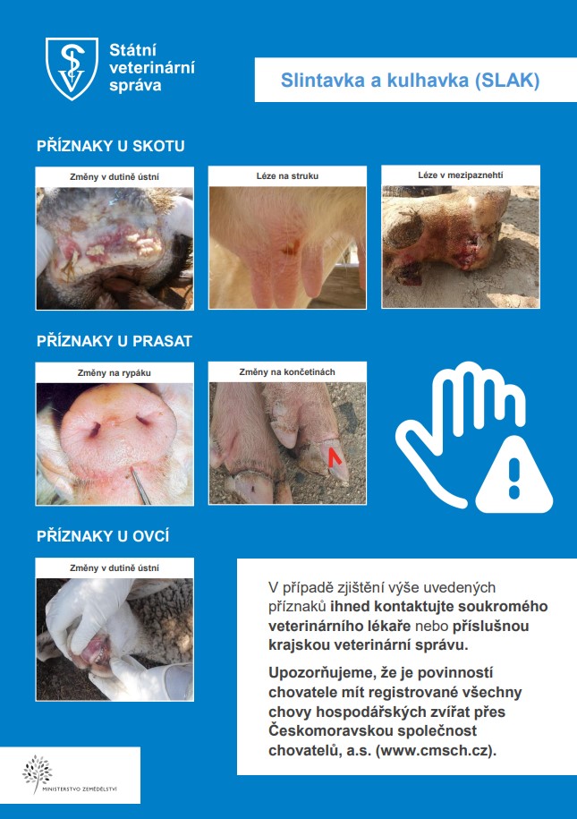 Slintavka a kulhavka 