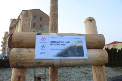 Strom pro naši budoucnost