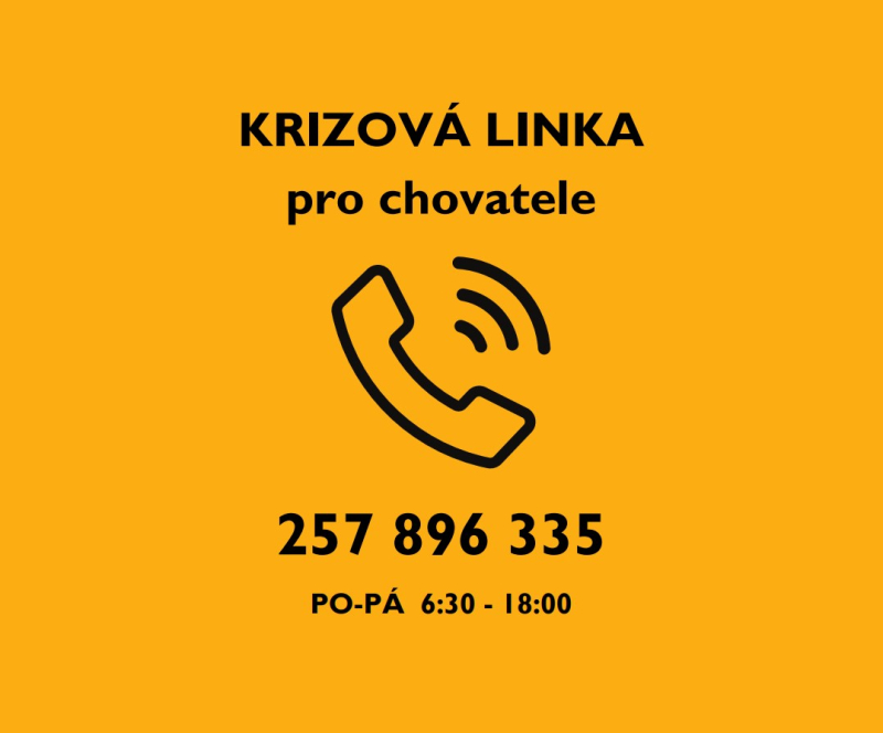 Slintavka a kulhavka 