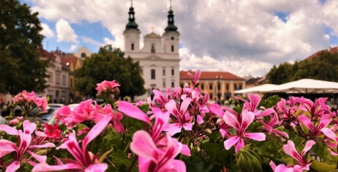 Cestovní ruch v Uherském Hradišti má příznivou bilanci