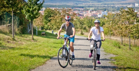 Na kole vinohrady Uherskohradišťska (otevírání a zavírání vinných stezek)