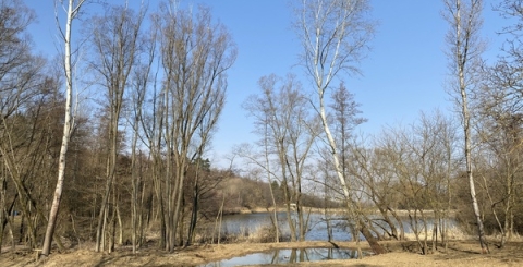 Na Míkovickém potoku vzniká nové biocentrum