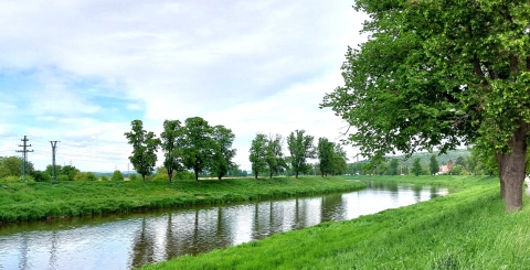 řeka Morava.jpg