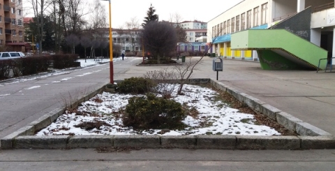 Záhony před obchodním centrem ve Štěpnicích