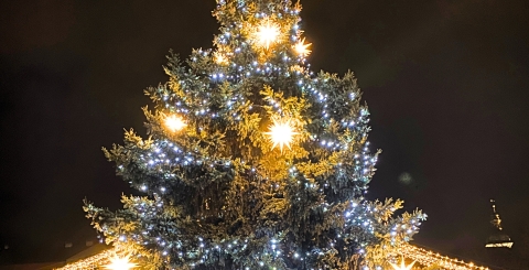 Slavnostní rozsvěcení vánočního stromu