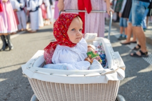 XXII. Slovácké slavnosti vína a otevřených památek