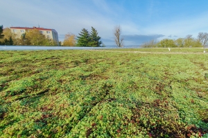 Projekt zelených střech na ZŠ Za Alejí